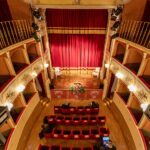 XVIII SISMeR Forum. The Smallest Theater In The World: The Uterus